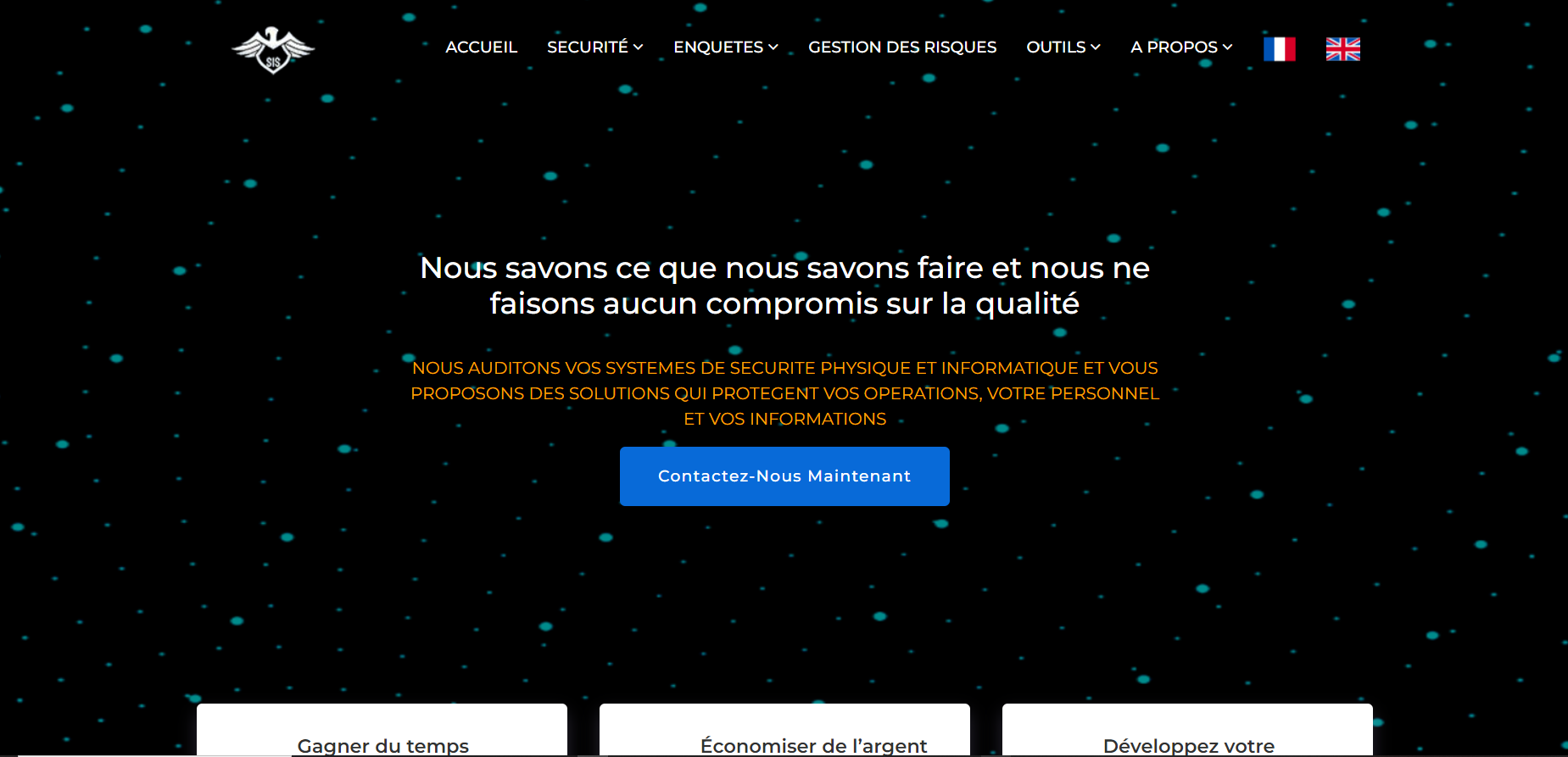 Aperçu du projet : Conception du site web de Sis-Advisor sarl