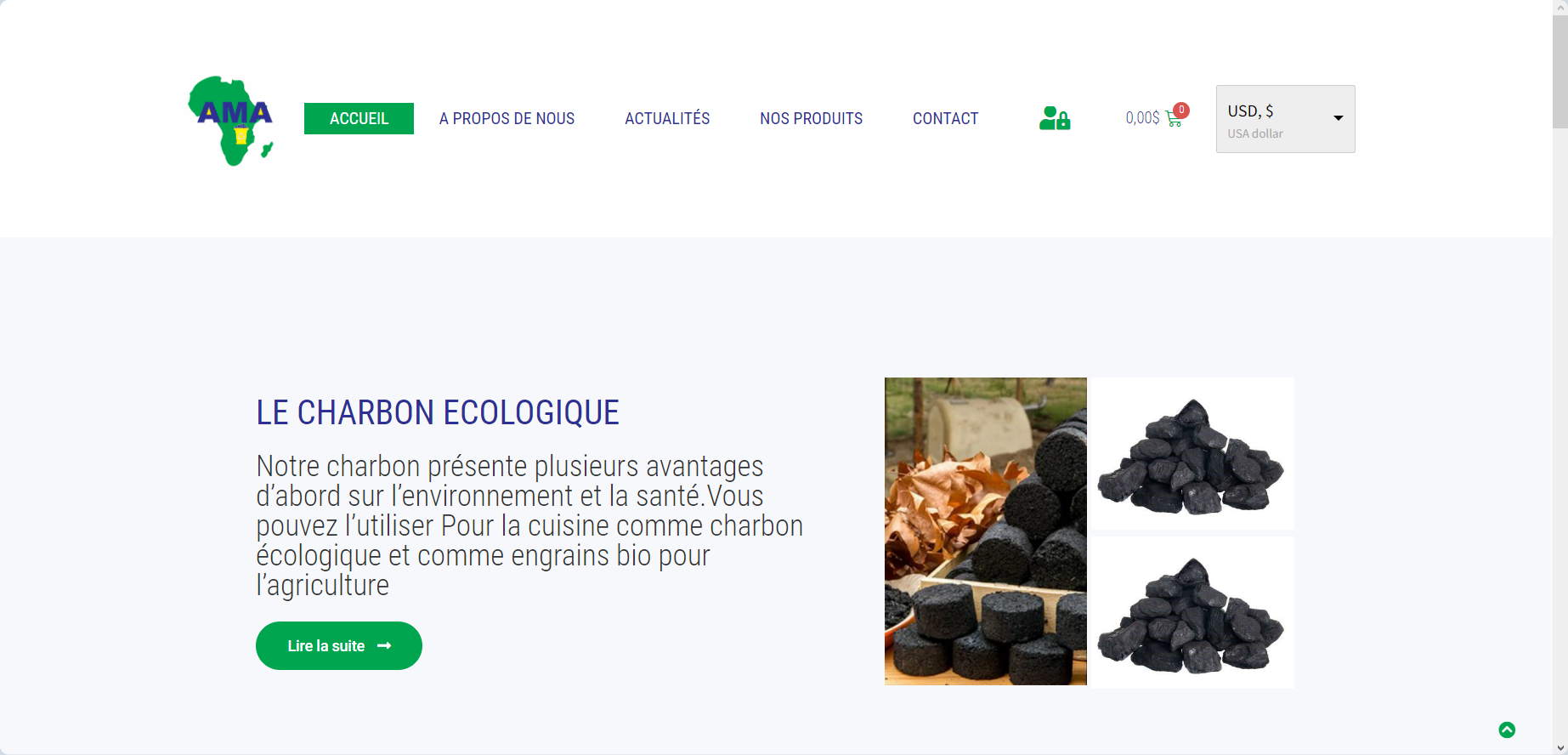 Aperçu du projet : Création du site web de ACTION METANOIA AFRIKA SARL